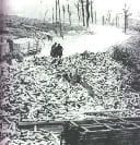 Empty shells at Verdun